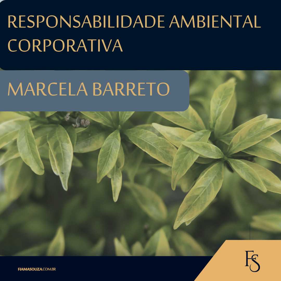 responsabilidade ambiental